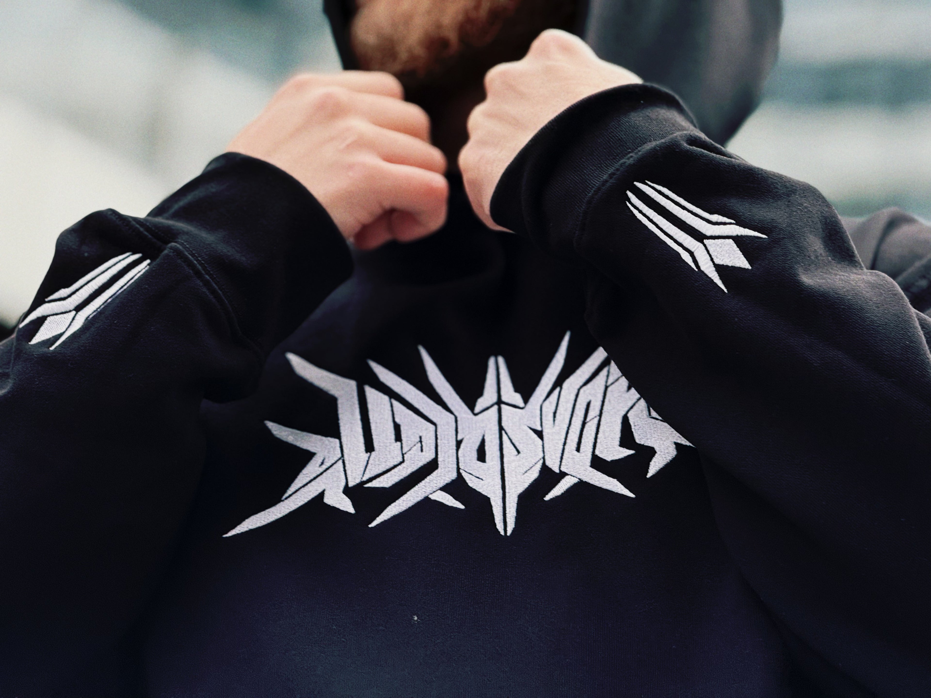 Audiosvora Heavyweight Hoodie — Core (Embroidered)