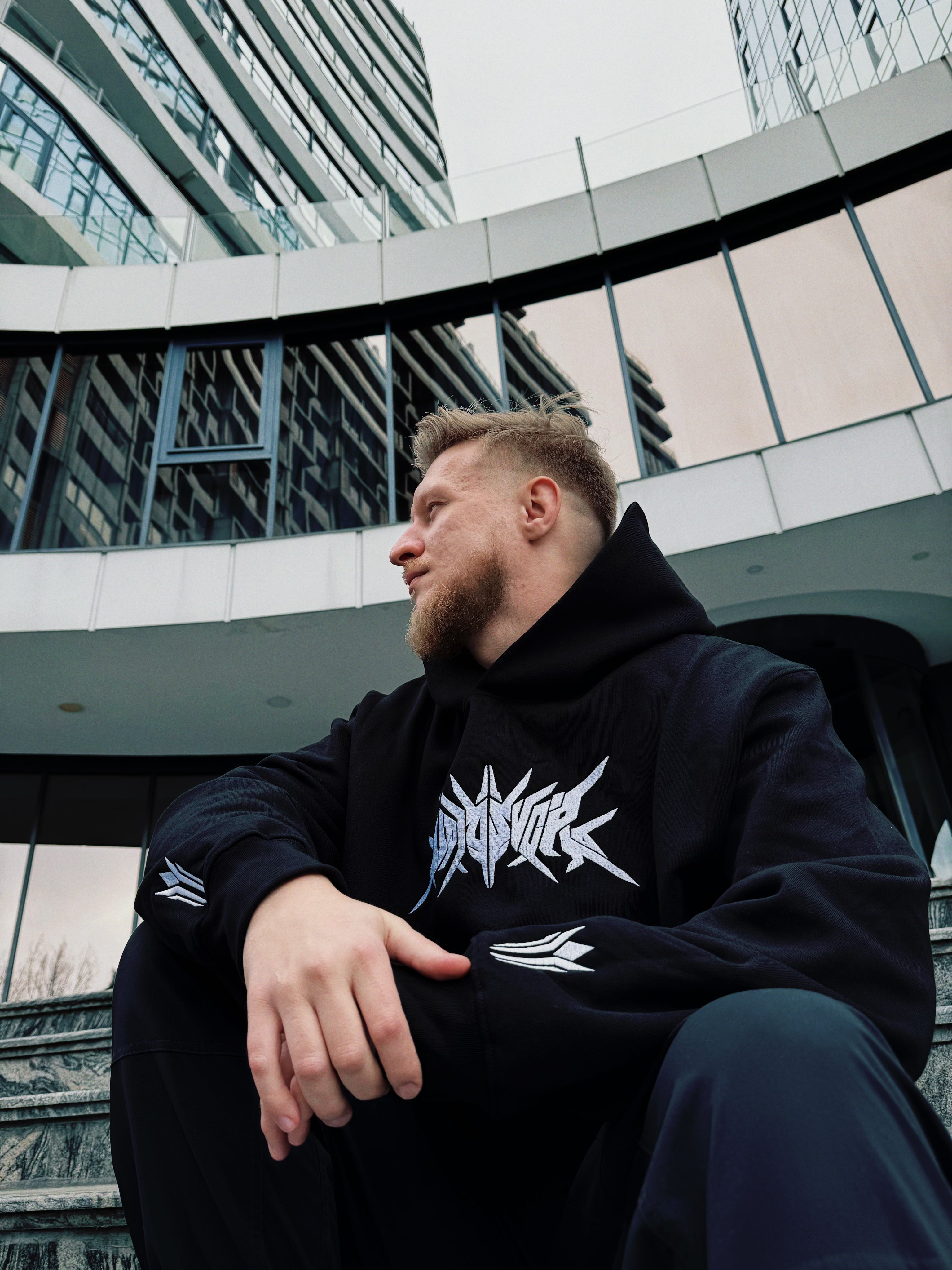 Audiosvora Heavyweight Hoodie — Core (Embroidered)